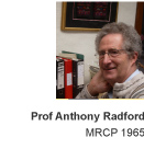 Professor Radford
