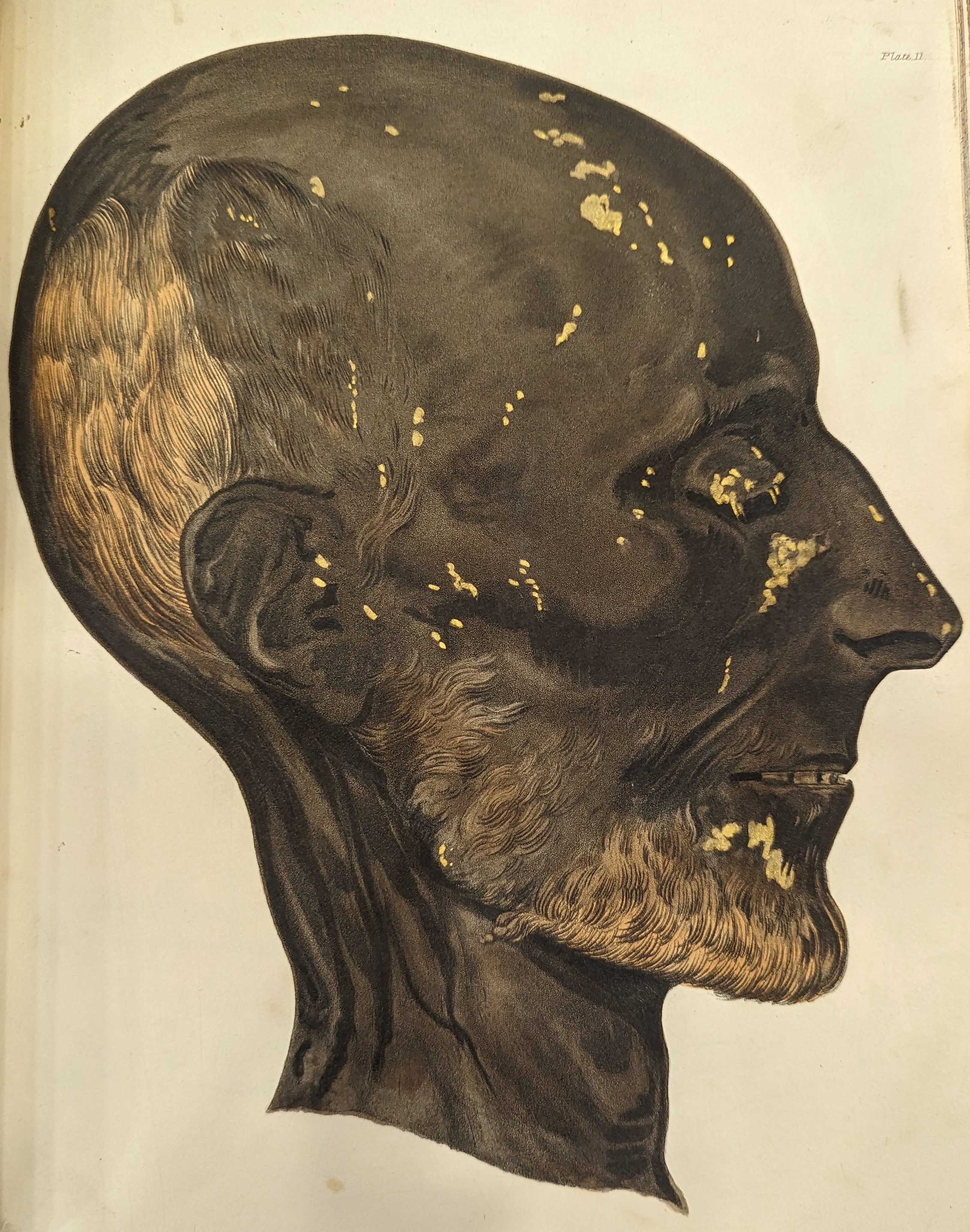 a_history_of_egyptian_mummies.jpg