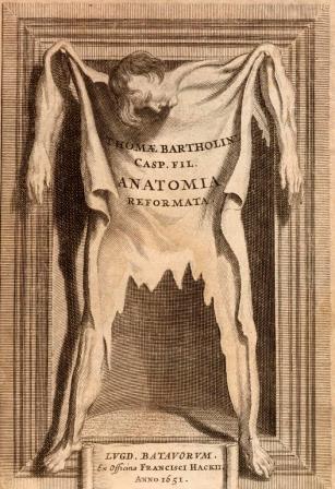 bartholin.jpg