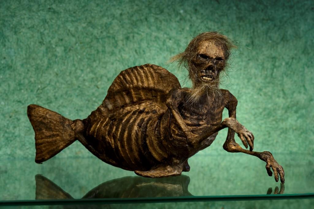 fiji_mermaid.jpg