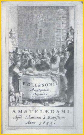glisson1.jpg