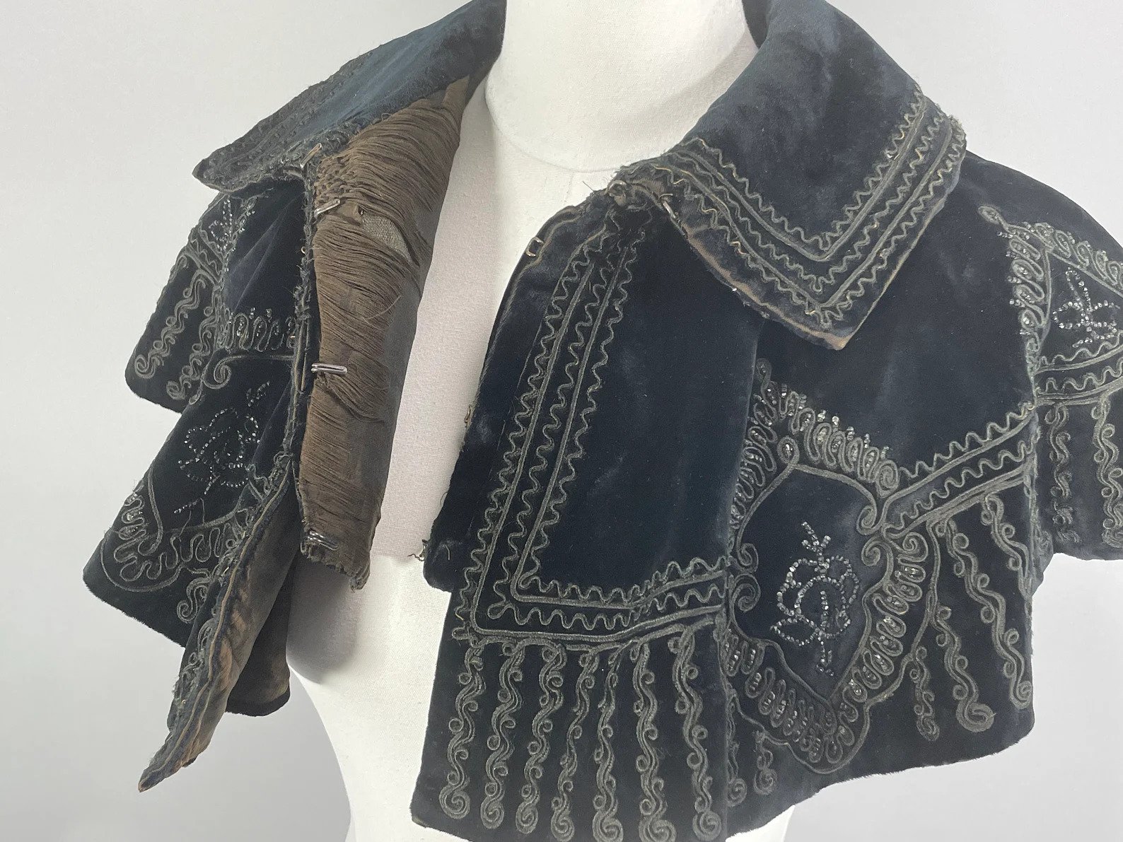 mourning_cape.jpg