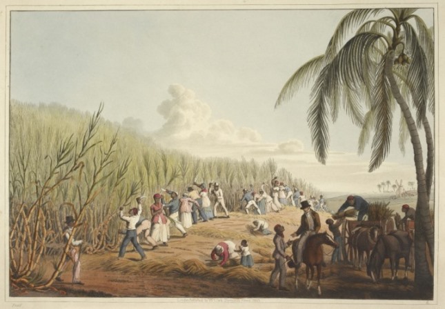 slaves_cutting_the_sugar_cane_-_ten_views_in_the_island_of_antigua_1823_plate_iv_-_bl.jpg