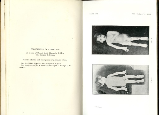 still_illus_3.jpg