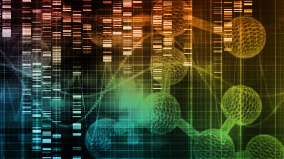 career in clinical research 