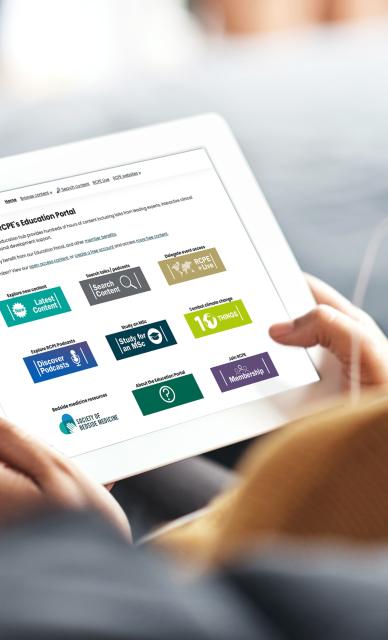 person looks at education portal on a tablet