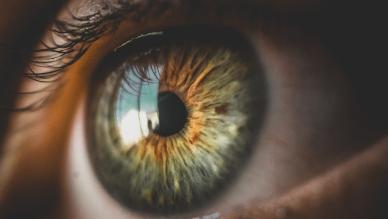 eye