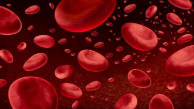 Blood cells
