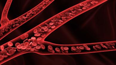 haematology 