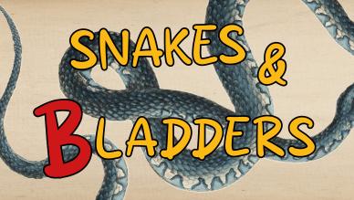 Snakes and Bladders 