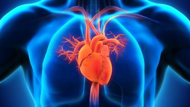 cardiology 
