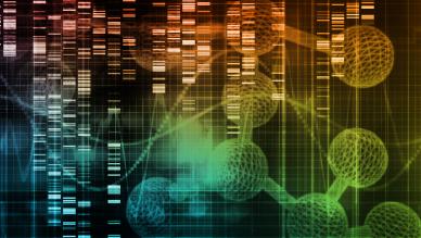 career in clinical research 