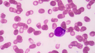 blood