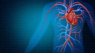 Cardiology 2026