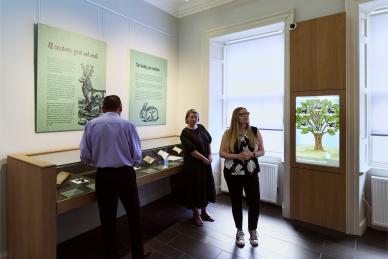 Wild & tame animals exhibition