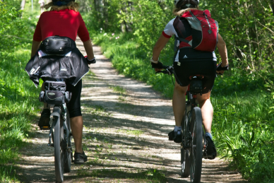 bikes