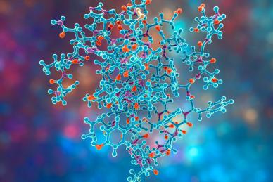 diabetes and endo
