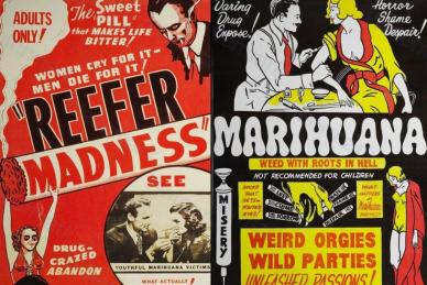 Reefer madness