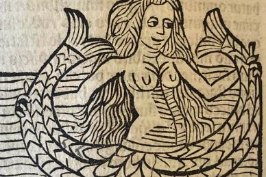 Mermaid