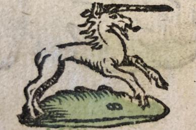Unicorn