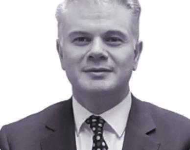 Professor Wanis H Ibrahim