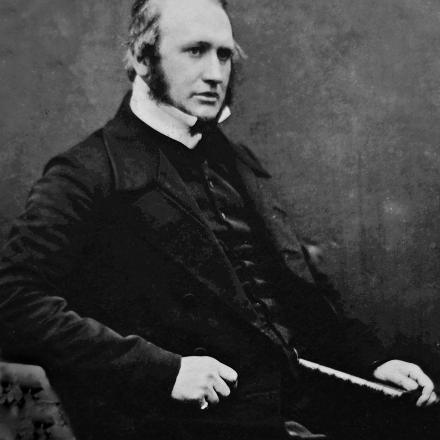 Alexander Wood 