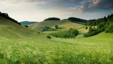 Landscape