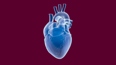 Cardiology