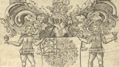 College arms