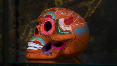 Death exhibition
