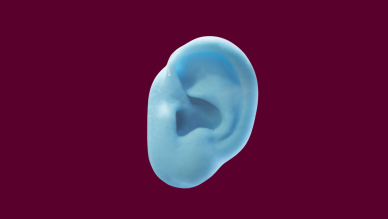 Ears