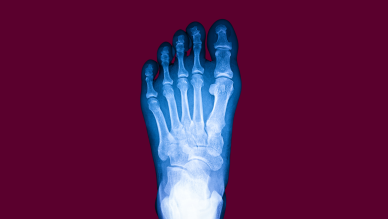Feet 