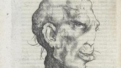 Girolamo Fracastaro 