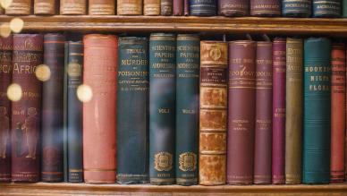 19th century book shelf