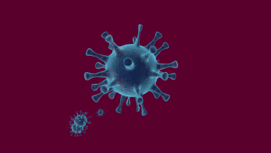 Infectious Diseases