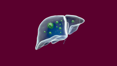 Liver 