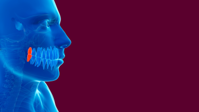 mouth