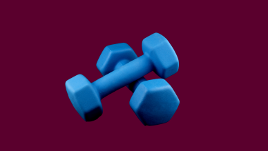 Muscles