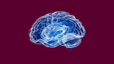 Neurology