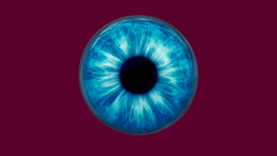 Ophthalmology