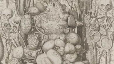 Frederik Ruysch