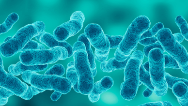 Tuberculosis