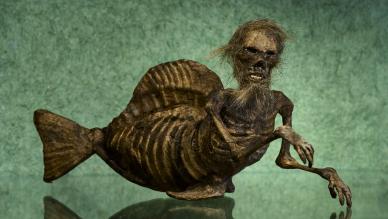 Wild and tame mermaid