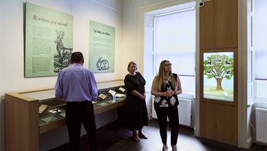 Wild & tame animals exhibition
