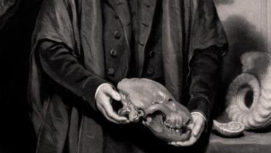 William Buckland
