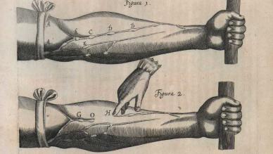 William Harvey