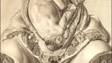 William Hunter, Anatomy of the Human Gravid Uterus