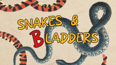 Snakes & Bladders poster
