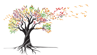  Stories of Medicine and Migration