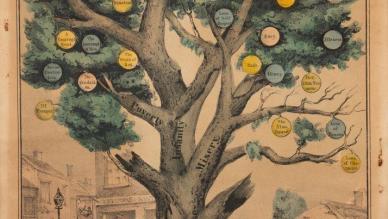 Tree of intemperance